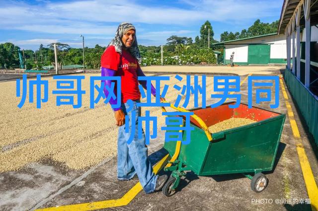 台湾娱乐风暴风雨送春归中的骆嘉角色探秘与结局分析