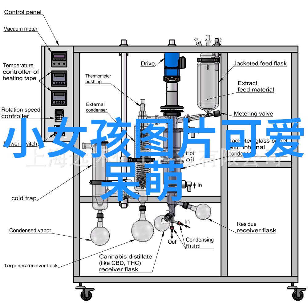 爱睡在一起-甜蜜共度夜晚爱睡在一起的故事