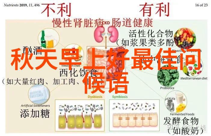 明星三级片研究银幕背后的光与影