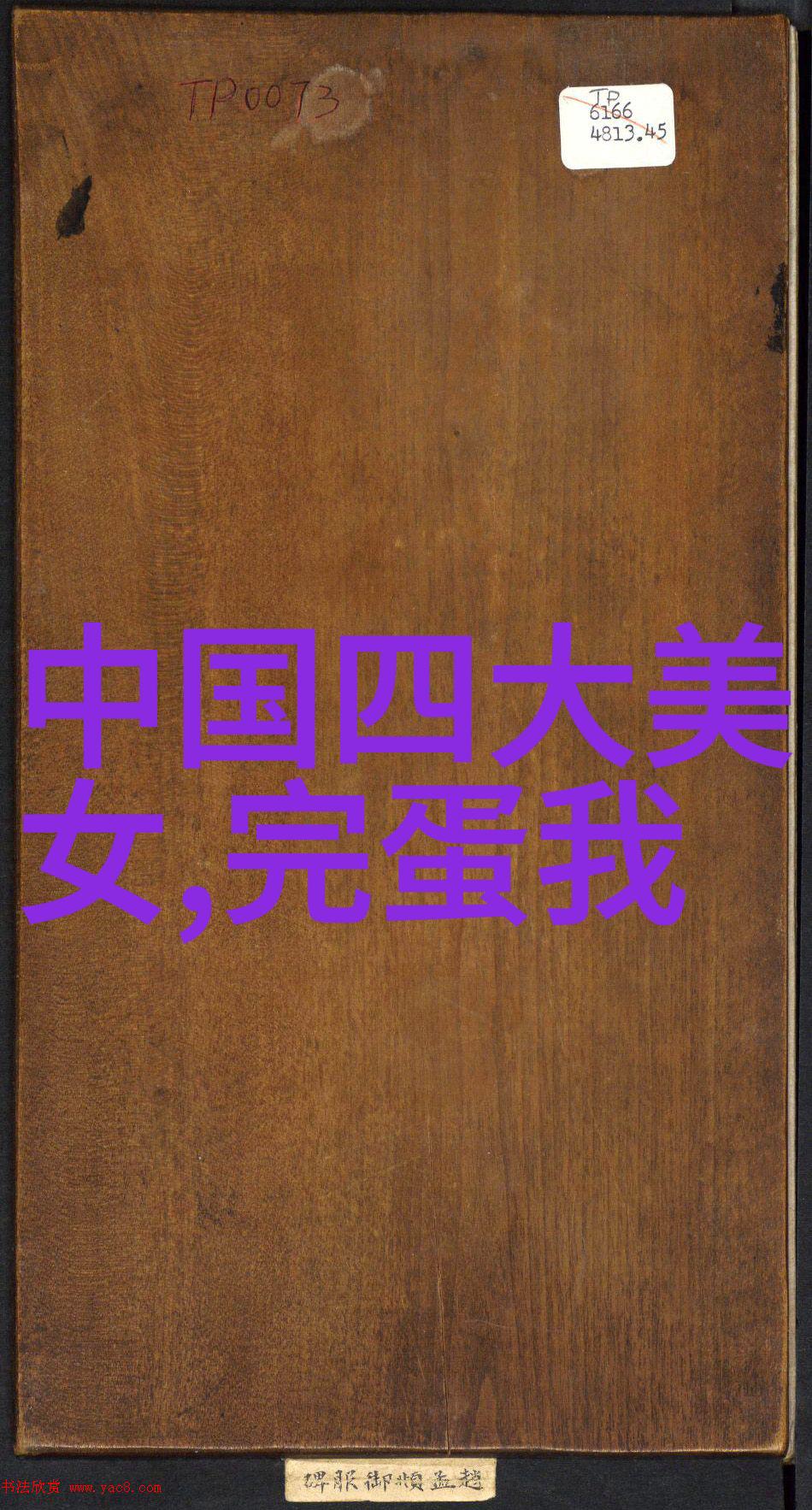 我喜欢的节日春暖花开的清明喜气洋洋的中秋和冬至那抹温馨