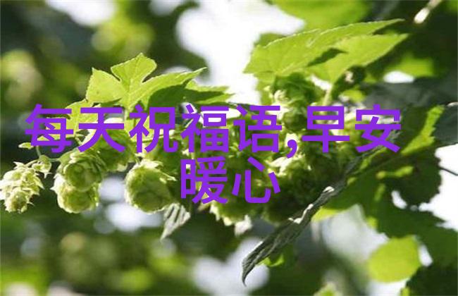 美女的胸-绽放的花朵揭秘美女胸部魅力的艺术与科学