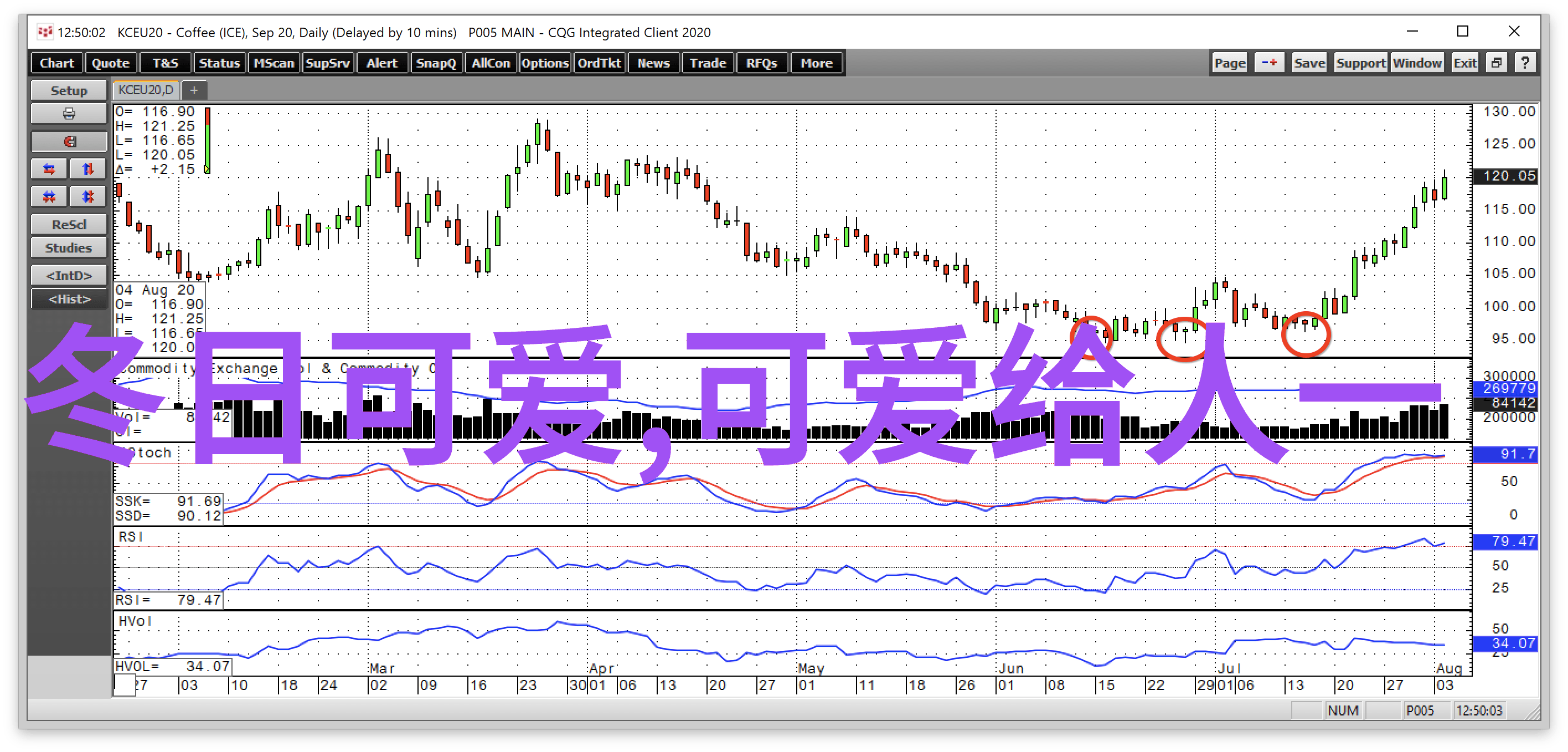 心情经典句子心灵的港湾情感的指南针