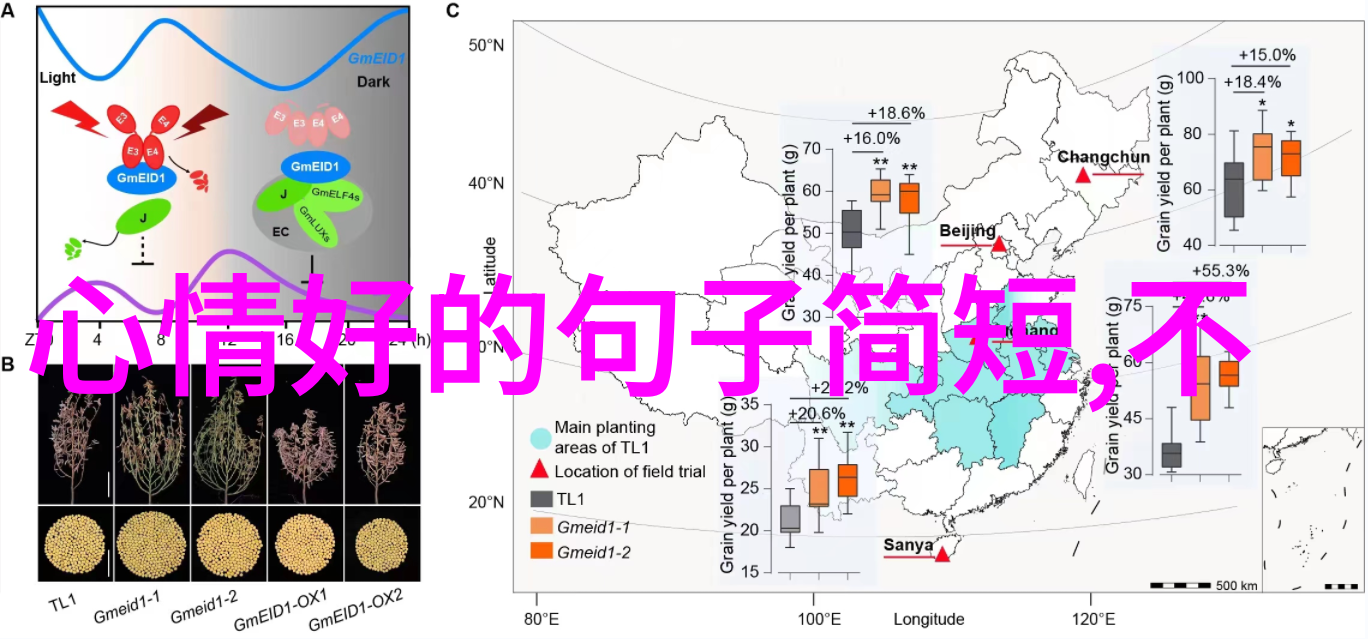 最恐怖的国产鬼片-阴影中的诡影揭秘中国最惊心动魄的鬼片