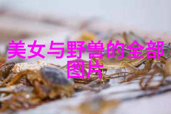 明星们在拍摄床戏时会遵循哪些规则