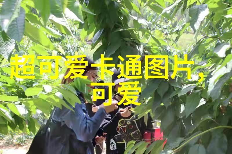 同城交友新选择探索可加微信的社交应用世界