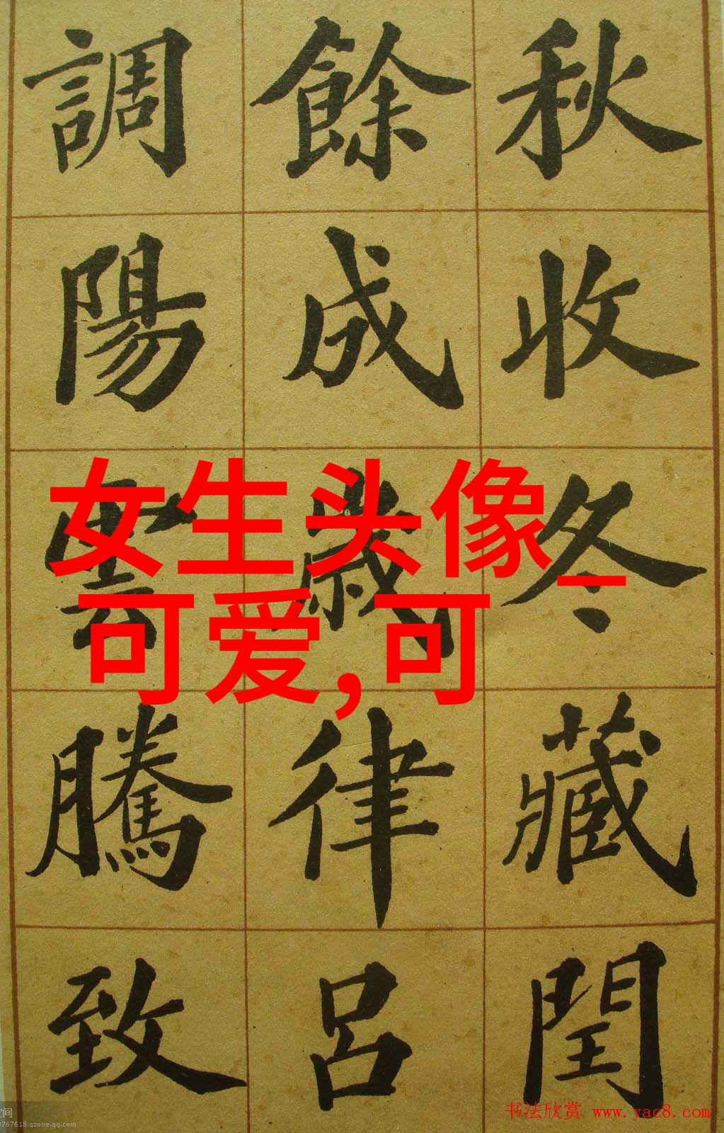 文字魔法师免费识别图片文字的神奇软件