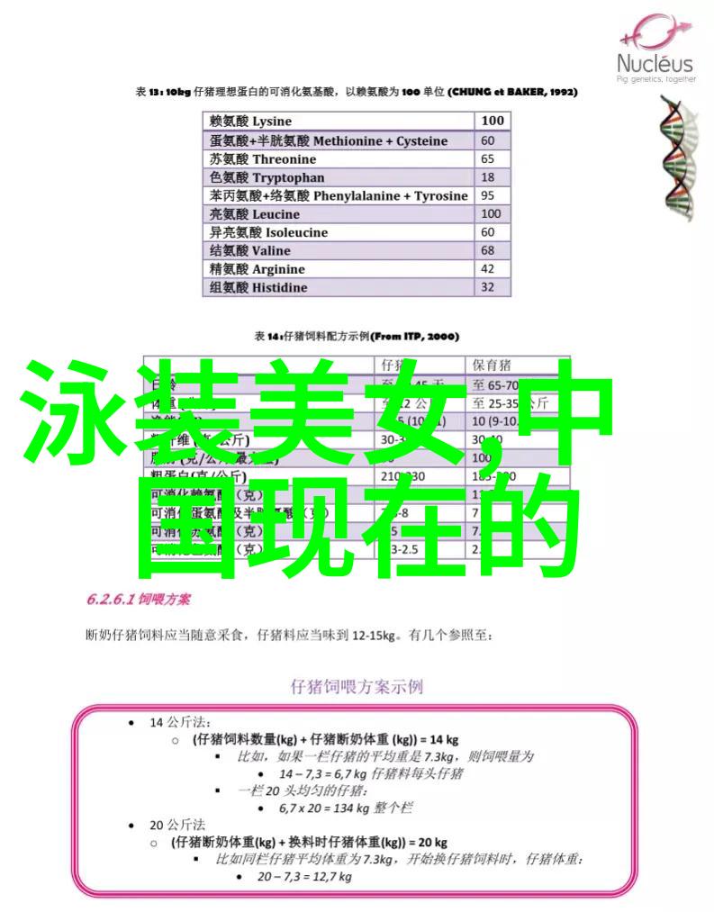 免费聊天软件不收费改变社交互动的新模式