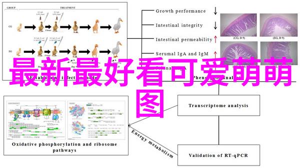 我们应该如何培养一种健康积极的心态来增强自身的吸引力