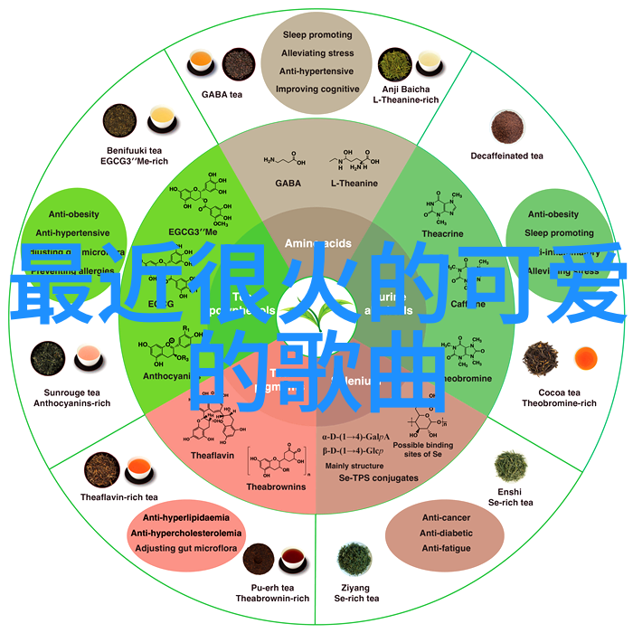 公交一卡通通行无阻的智慧之旅