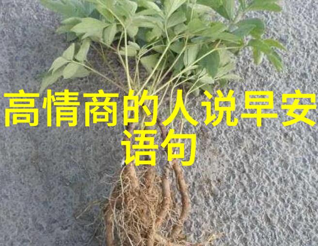 心情不好的句子伤感沉思中的忧愁与孤独