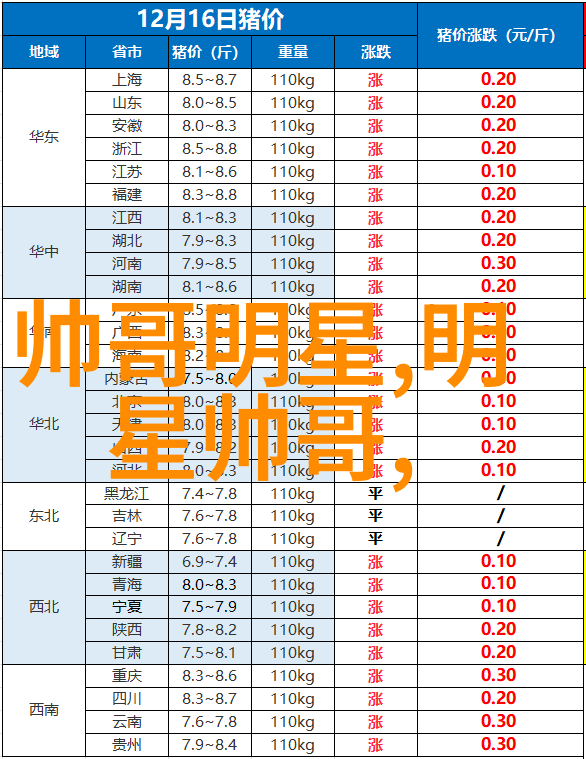 心动时刻倩影下的迷恋