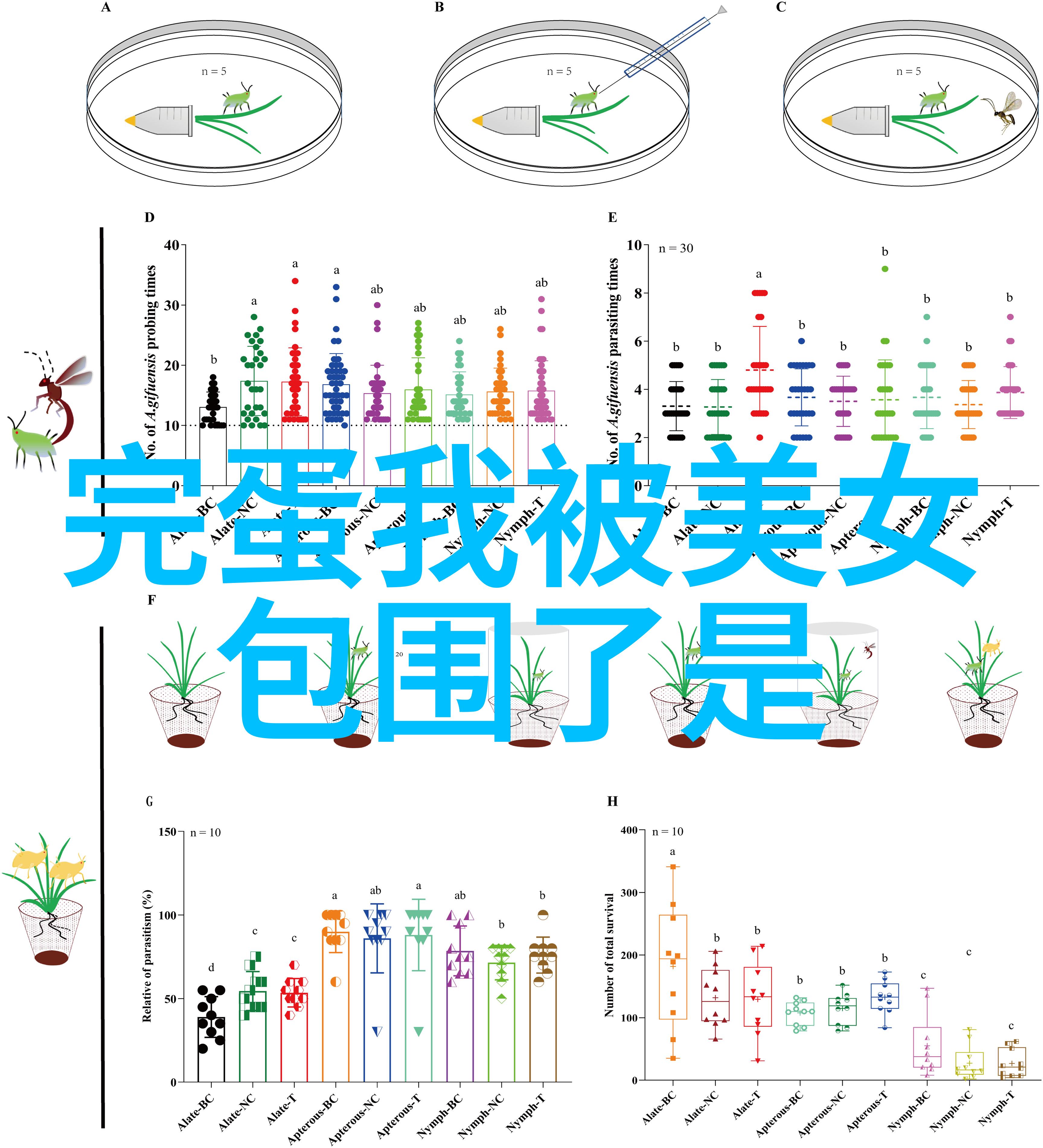 志同道合者 为你的小伙伴们打造个性化的战士名号