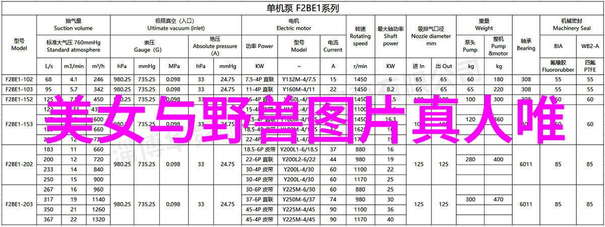 帅哥的魅力揭秘他们吸引人的秘密