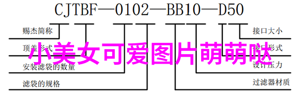 多彩盛宴探索民族风情的节日狂欢