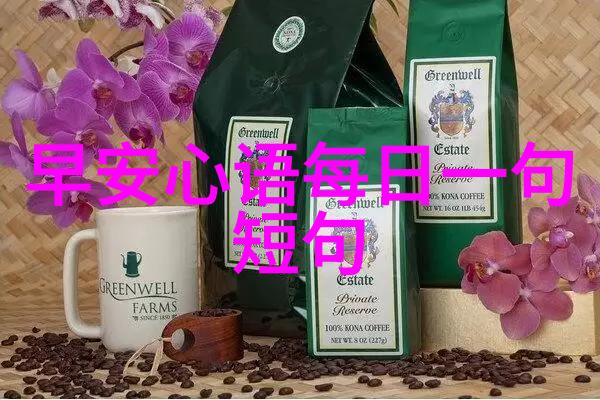 明星小说咱们来聊一聊那些神秘的文学界偶像吧