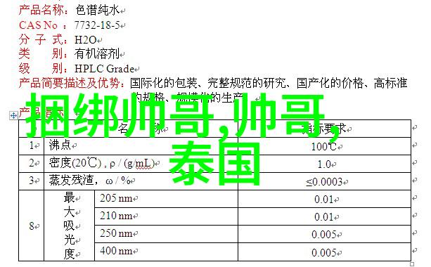 诗意语言抒情文字的艺术