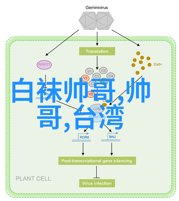 超清可爱壁纸甜蜜动物图案高清桌面背景