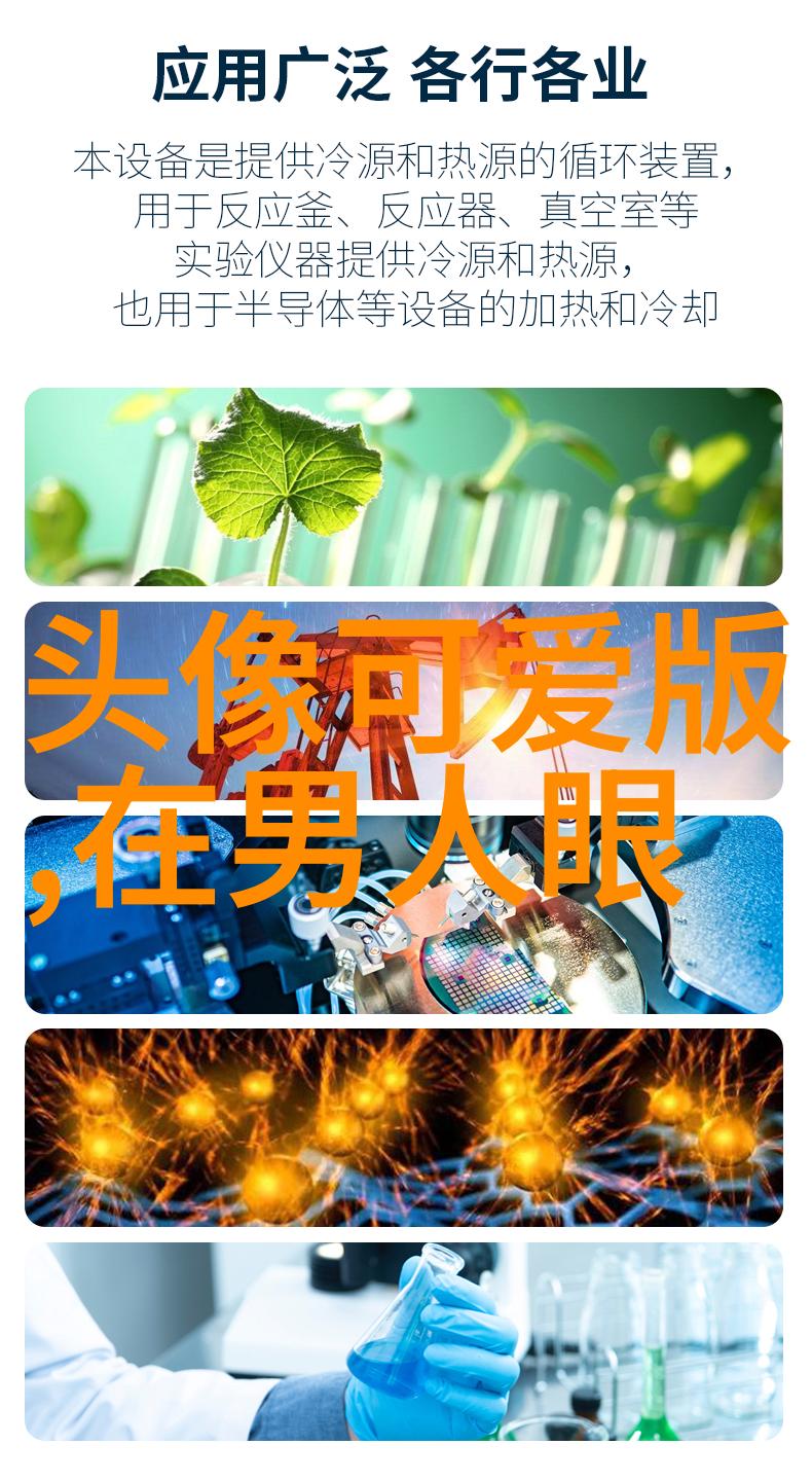 但愿人长久千里共婵娟是什么心灵的连线追寻那份永恒的相伴