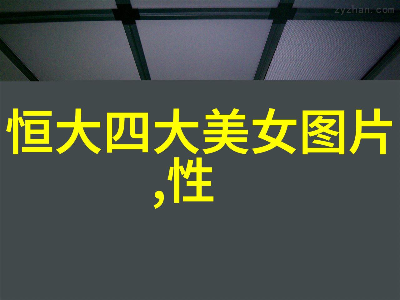 可爱动物桌面壁纸温暖的家居装饰