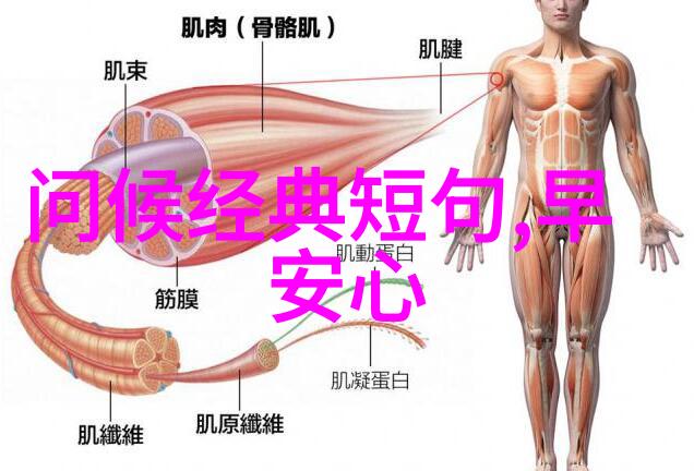 无缝交流探索免费聊天软件的便捷之处