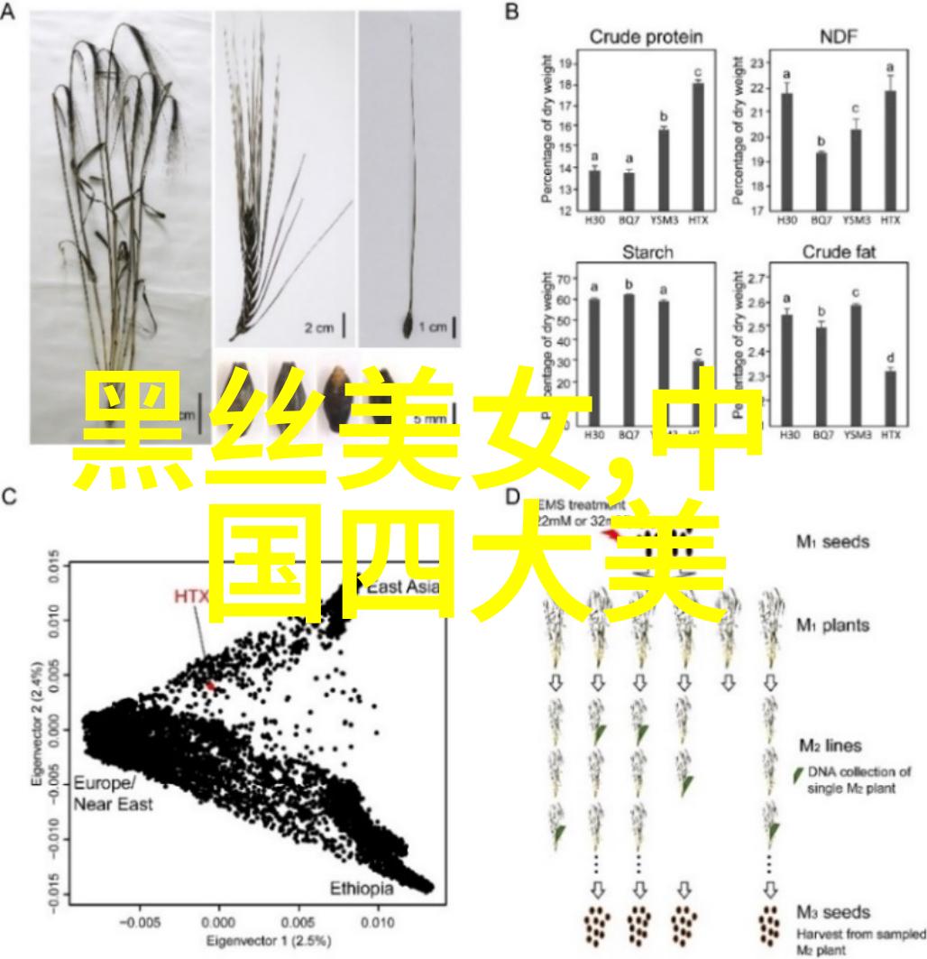 俄罗斯版碧昂斯揭秘东欧地区最美女性标准