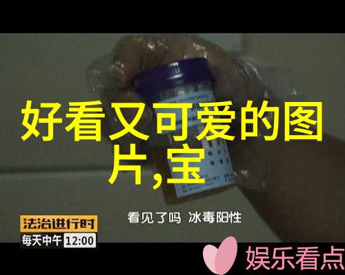 碧波间的秘密花园海上繁花txt