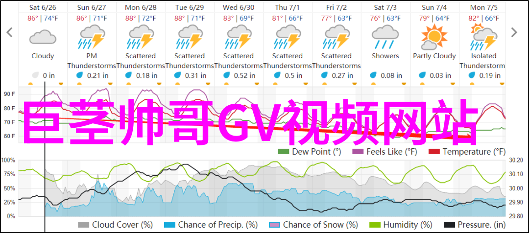 美丽无限探索全球最具魅力的女性形象集