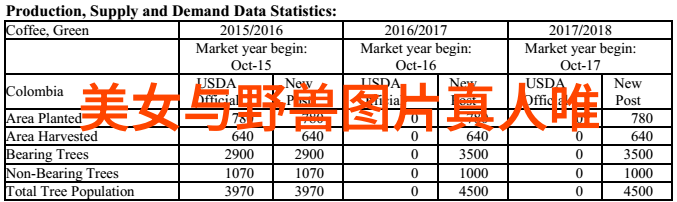 社交网络的温暖港湾微信群聊的美好故事