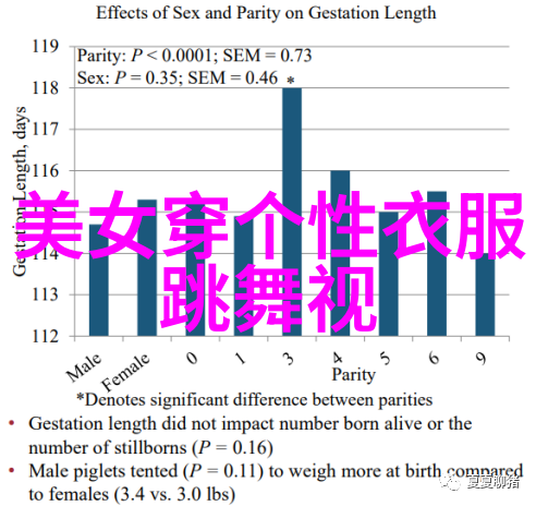 主题我来聊聊12月节日的那些事儿