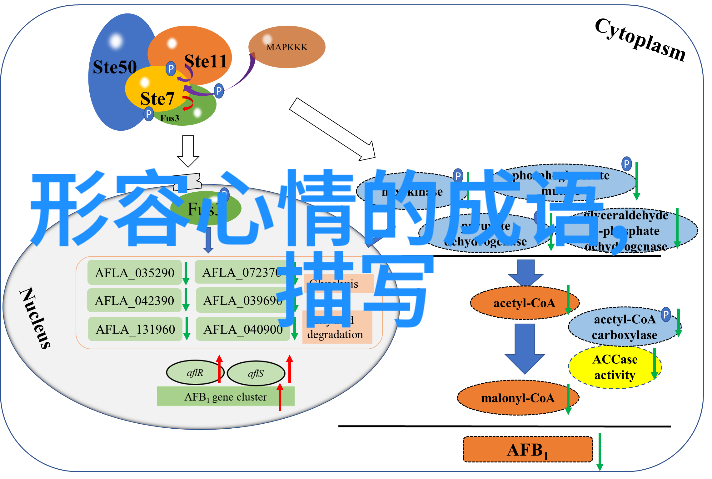 2023年最火的家庭群名家人团结一心的代名词