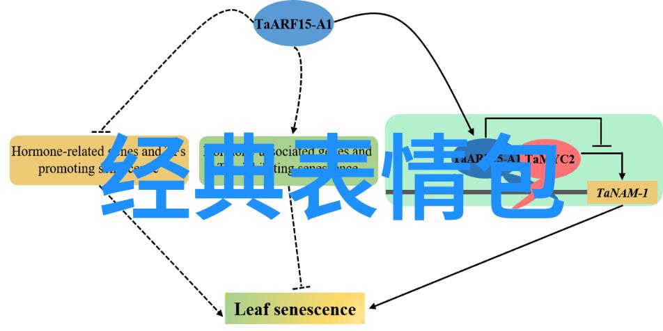 世界各地都有自己的特色春季或秋季庆典吗它们又是如何庆祝的