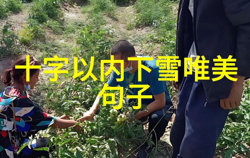 东门哪里有卖观赏鱼