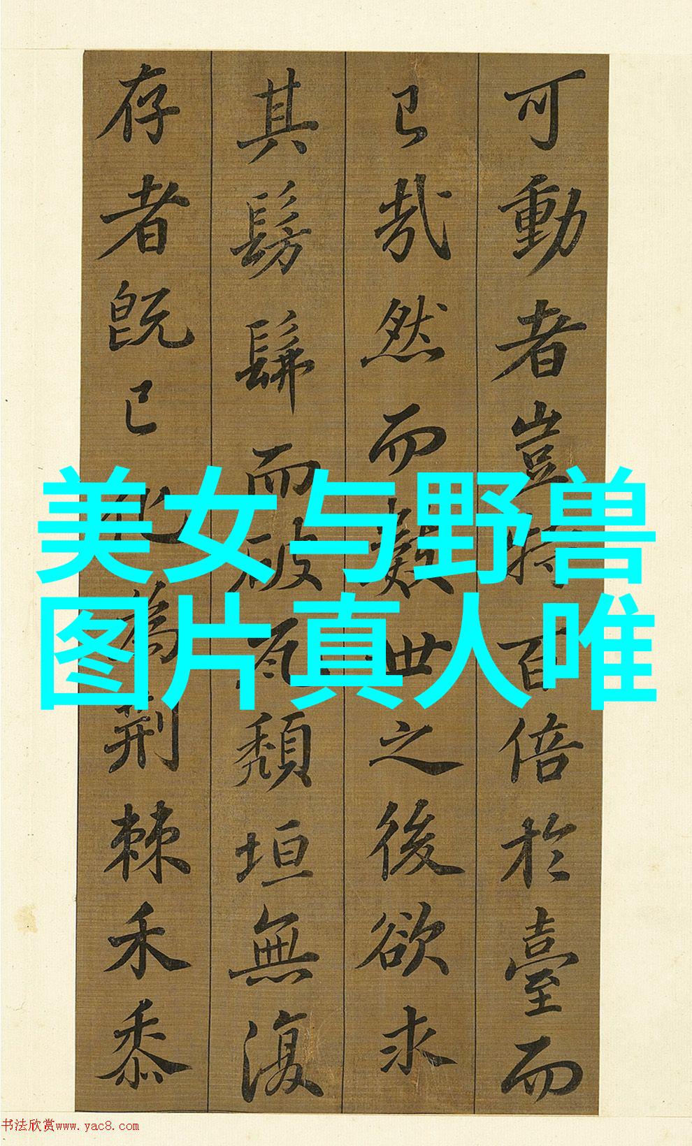 从简单到复杂带字图片大全设计技巧大揭秘