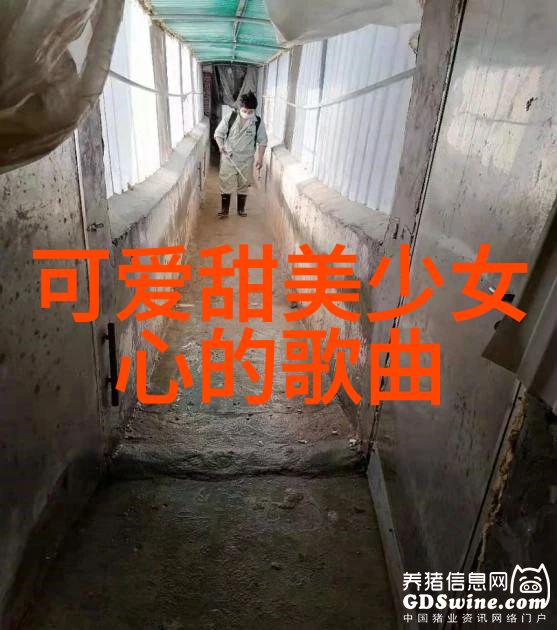 苗族的传统节日 - 黎明前的跳舞探索苗族春节的文化魅力