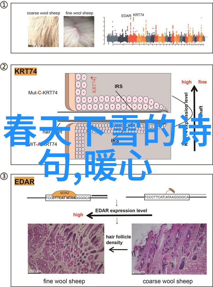 小图案简笔画趣事录