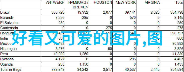 东北壮男GY我的视野独一无二