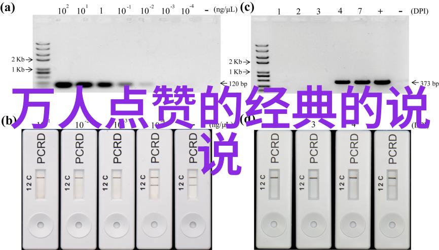 每日心情短句我今天的心情简直是晴天里的细雨平静又不失温柔