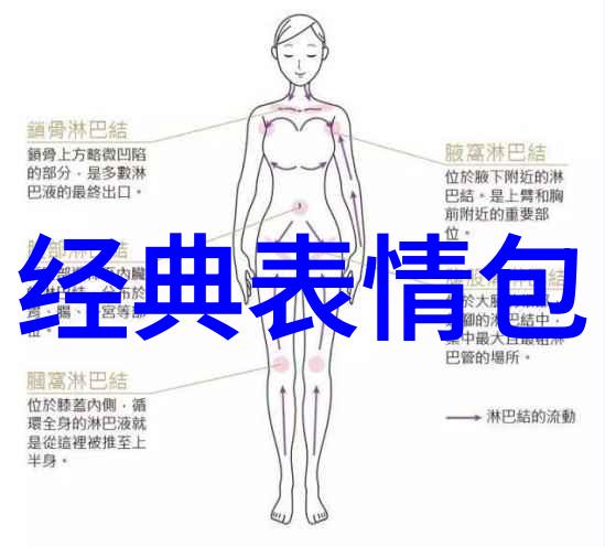 缅北恐怖影像宁静之光与阴影中的尖叫