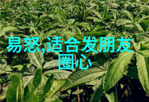 泰国恐怖片惊悚之旅在异域风情中展开