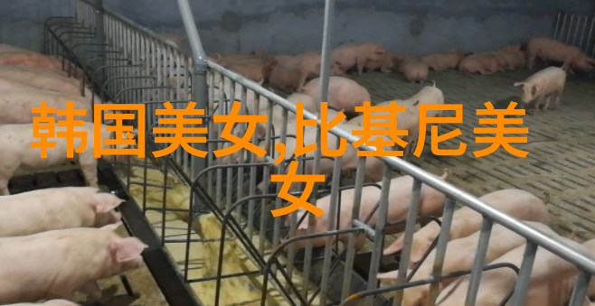 明星大侦探第六季是否会引入全新的角色或回归老熟悉的人物