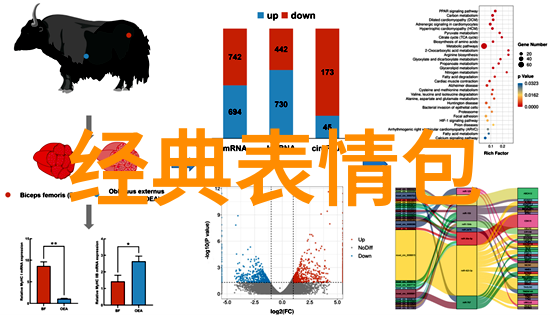 星光下的舞蹈苗族年夜饭的故事