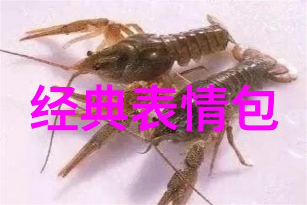 探索文字珍品稀少字汇与文化寓意的奇缘