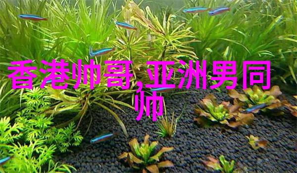 重生之夏泽时光倒流的青春梦想