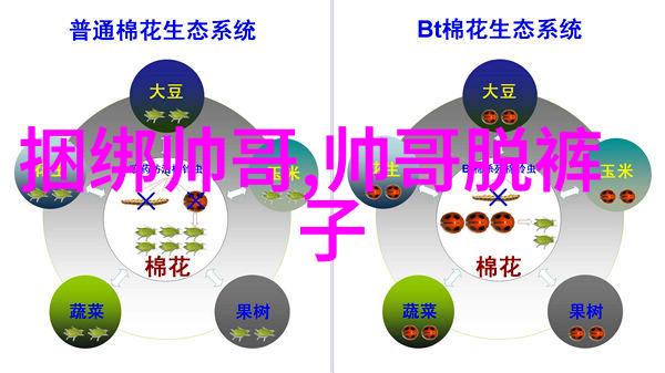 视频今夜有戏羽泉自比老夫老妻 胡海泉重过白百合