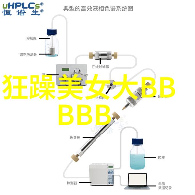 全球旅行者瞩目揭秘如何在国外顺畅使用你的骏网一卡通