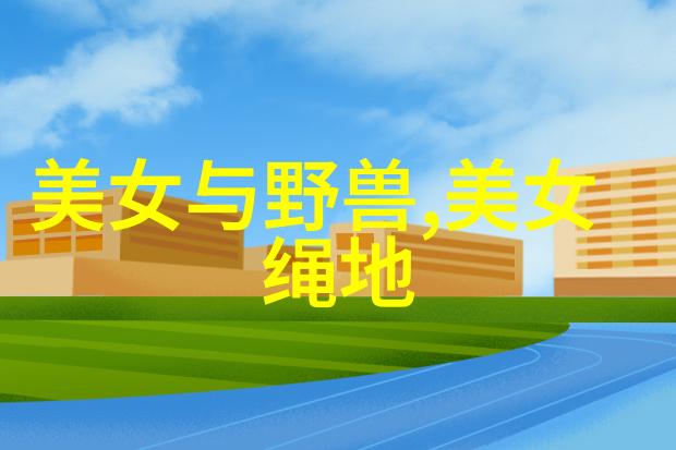 免费聊天软件不收费无限语音通话的便捷工具