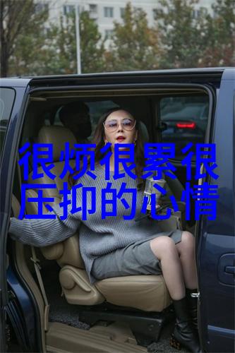 微信群的开放性研究探索免费进入机制及其对社交网络互动的影响