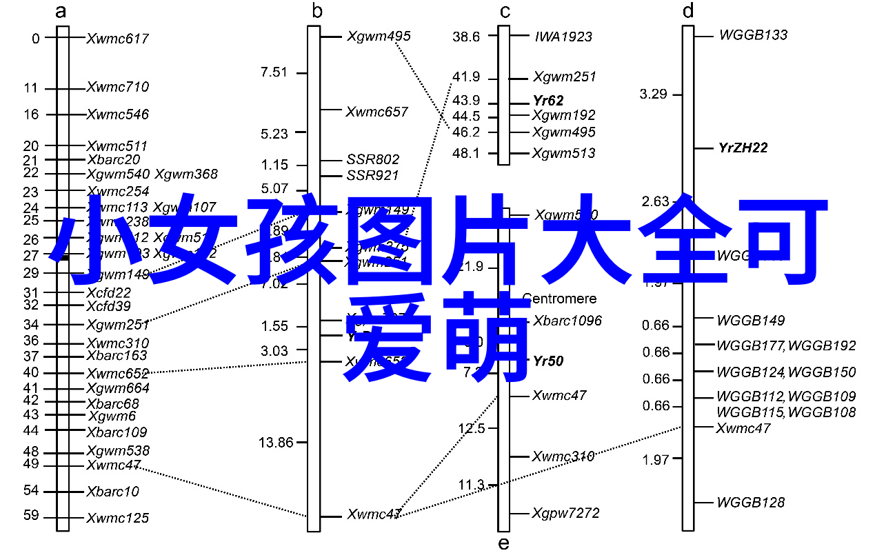 探索-迈开腿让我们一起欣赏那些小小的草莓奇迹