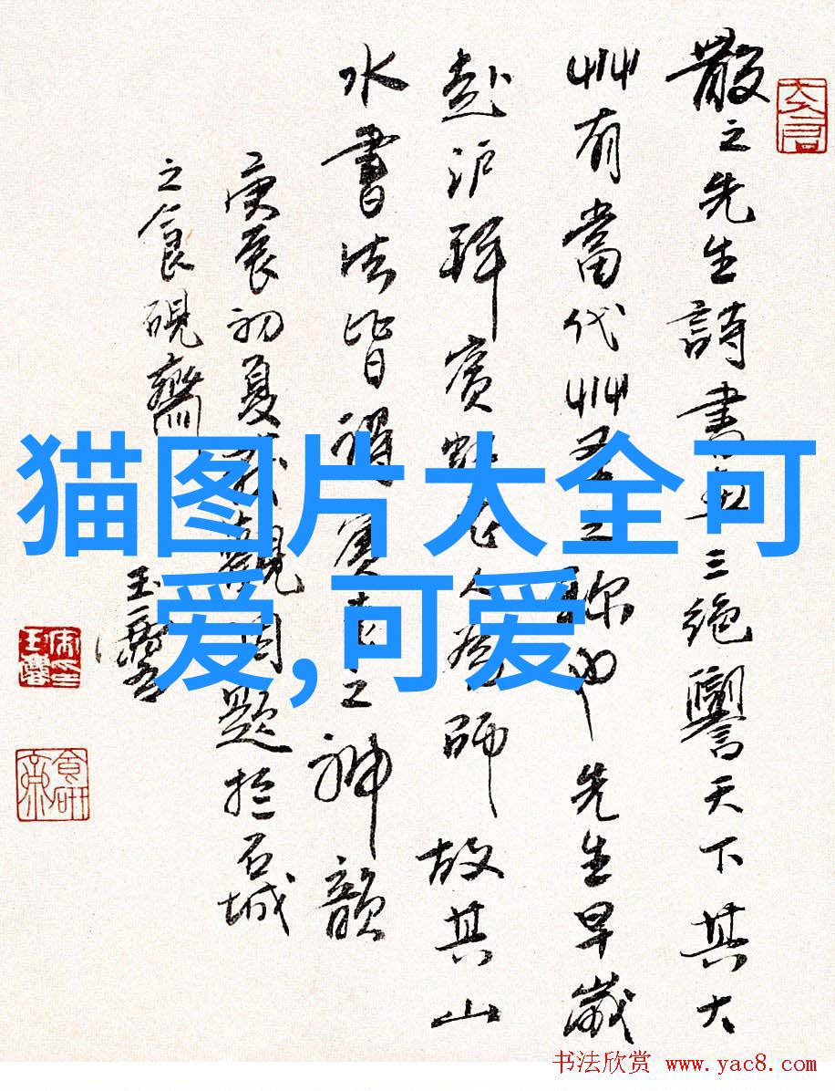 群聊软件与时俱进的数字社交新篇章