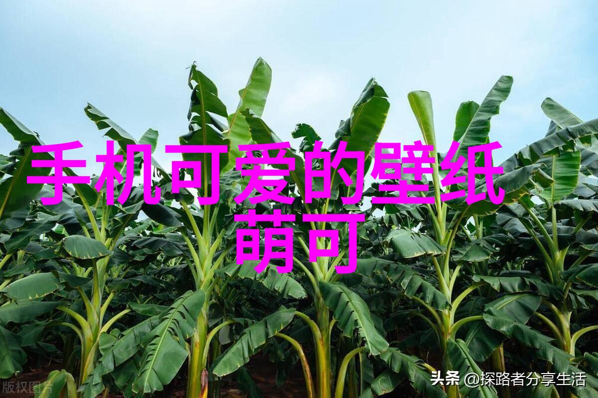 文化传承在选择好听霸气群名时我们应该考虑什么因素